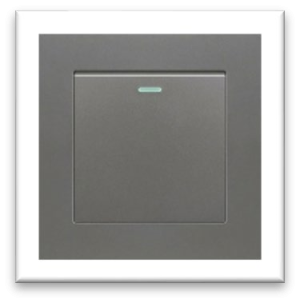 RESET SWITCH PLASTIC GREY GLASS