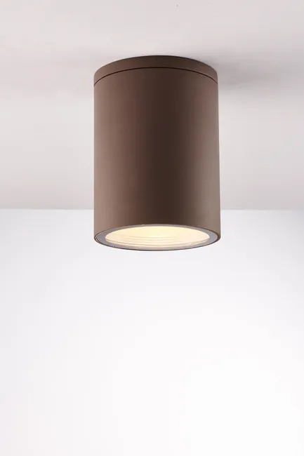 FAN CEILING LIGHT CITIZEN BROWN